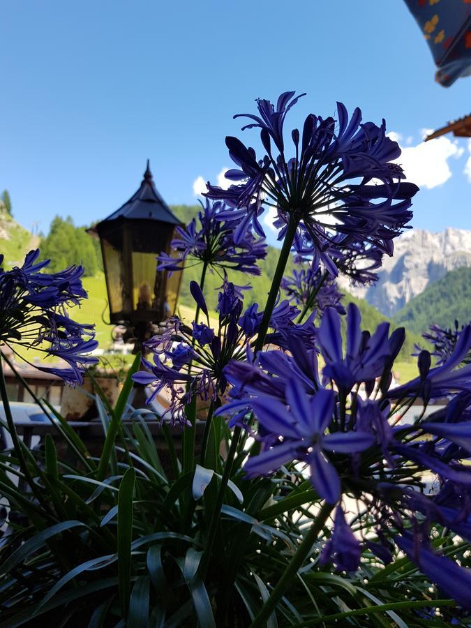 Garni Rubens B&B Selva di Val Gardena Exterior foto